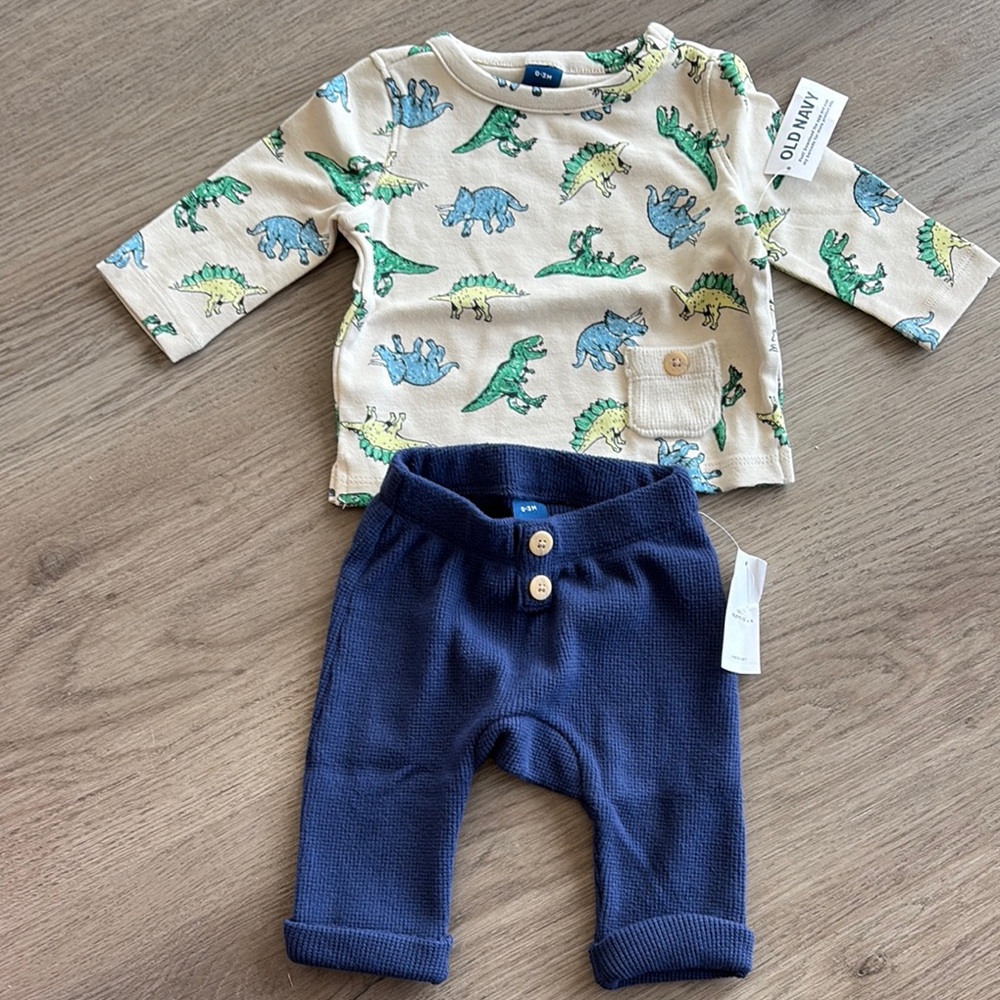Old Navy Dinosaur Print Top with Navy Pants